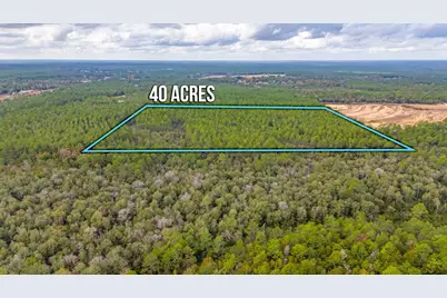 40 Acres Brooklyn Drive, Defuniak Springs, FL 32433 - Photo 19