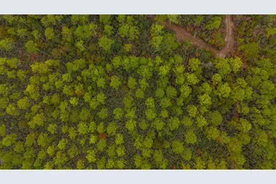 40 Acres Brooklyn Drive, Defuniak Springs, FL 32433 - Photo 23