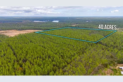 40 Acres Brooklyn Drive, Defuniak Springs, FL 32433 - Photo 15