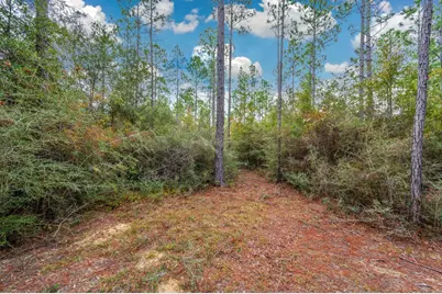 40 Acres Brooklyn Drive, Defuniak Springs, FL 32433 - Photo 7