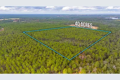 40 Acres Brooklyn Drive, Defuniak Springs, FL 32433 - Photo 1