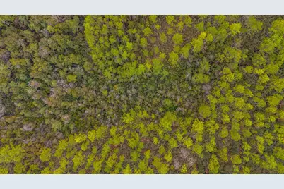 40 Acres Brooklyn Drive, Defuniak Springs, FL 32433 - Photo 21