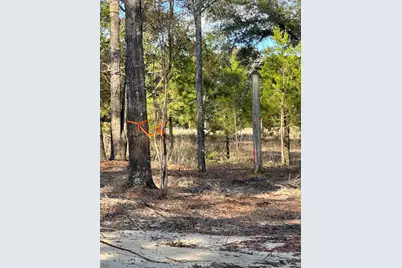 1909 Hidden Springs Drive, Baker, FL 32531 - Photo 9