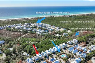 79 Cypress Passage, Santa Rosa Beach, FL 32459 - Photo 39