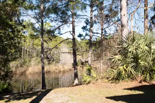 407 Calle Escada, Santa Rosa Beach, FL 32459 - Photo 5