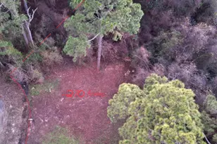 2359 Belmont Dr, Navarre, FL 32566 - Photo 1