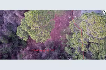 2359 Belmont Drive, Navarre, FL 32566 - Photo 5