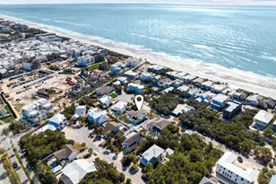 169 Walton Buena Vista Dr, Inlet Beach, FL 32461 - Photo 59