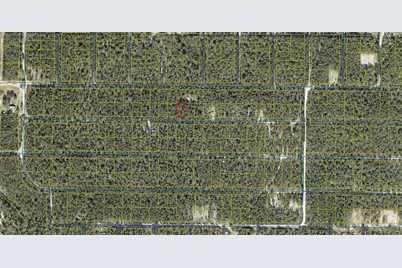 Lot 45 W Black Cherry Drive W, Defuniak Springs, FL 32433 - Photo 1