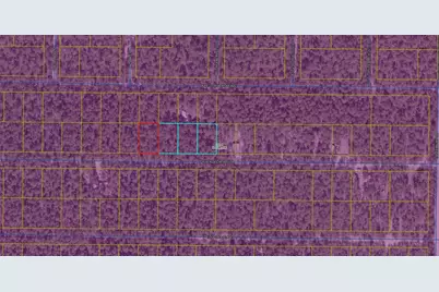 Lot 46 W Black Cherry Drive W, Defuniak Springs, FL 32433 - Photo 5