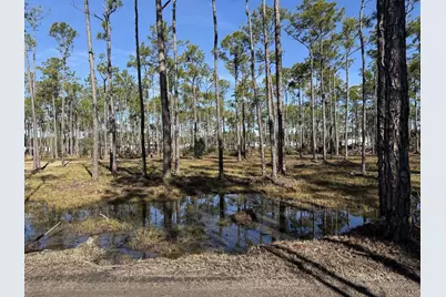 4 Foxmire Farm Road, Santa Rosa Beach, FL 32459 - Photo 1