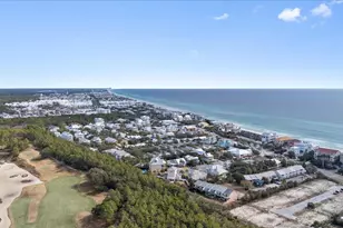 103 Pelican Glide Ln, Inlet Beach, FL 32461 - Photo 87