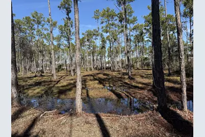 Lot 5 Foxmire Farm Road, Santa Rosa Beach, FL 32459 - Photo 1