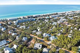 131 Clareon Dr, Inlet Beach, FL 32461 - Photo 71