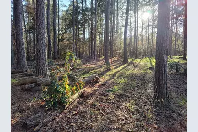 600 Jasper Floyd Road, Ponce de Leon, FL 32455 - Photo 11