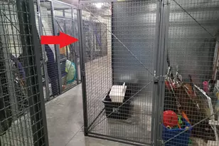 1 Bch Clb Dr, Miramar Beach, FL 32550 - Photo 79