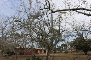 5 Bayview Dr, Apalachicola, FL 32320 - Photo 19