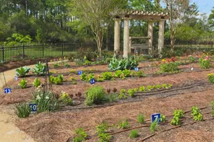 400 Kelly Plantation Dr, Destin, FL 32541 - Photo 47