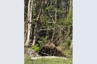 Lot 8 Marsh Drive, Freeport, FL 32439 - Photo 13