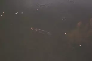 1100 Kings Lake Blvd, Defuniak Springs, FL 32433 - Photo 47