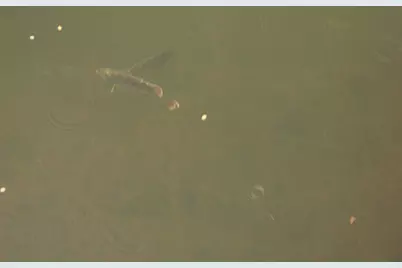 1100 Kings Lake Boulevard, Defuniak Springs, FL 32433 - Photo 49