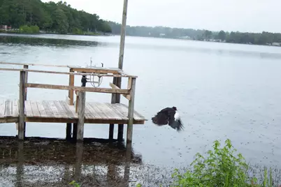 1100 Kings Lake Boulevard, Defuniak Springs, FL 32433 - Photo 45