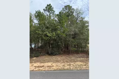 Tbd Owens Road, Defuniak Springs, FL 32433 - Photo 1