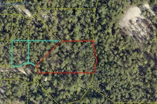 162 E Honeysuckle St, Mossy Head, FL 32434 - Photo 1