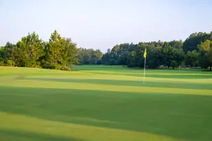 15 Golden Bell Ct, Inlet Beach, FL 32461 - Photo 43