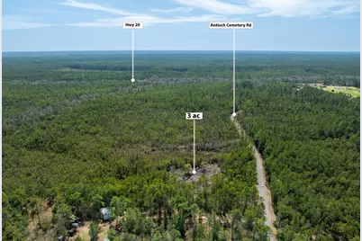 3 Acres Antioch Cemetery Road, Ponce de Leon, FL 32455 - Photo 13