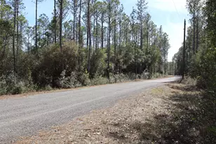 3 Acres Antioch Cemetery Rd, Ponce de Leon, FL 32455 - Photo 11