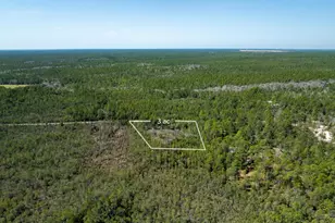 3 Acres Antioch Cemetery Rd, Ponce de Leon, FL 32455 - Photo 15