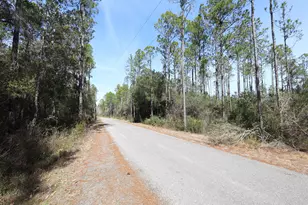 3 Acres Antioch Cemetery Rd, Ponce de Leon, FL 32455 - Photo 9