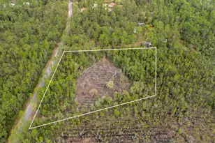 3 Acres Antioch Cemetery Rd, Ponce de Leon, FL 32455 - Photo 5