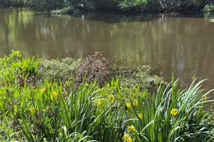 1720 25th Street St, Niceville, FL 32578 - Photo 59