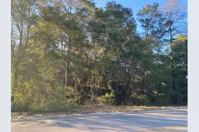 Tbd Ruckel Drive, Niceville, FL 32578 - Photo 5