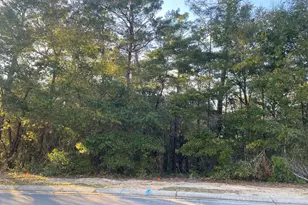 Tbd Ruckel Dr, Niceville, FL 32578 - Photo 3