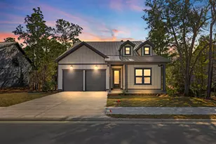 160 Brizo Ln, Santa Rosa Beach, FL 32459 - Photo 1