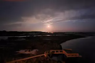 186 Banfill St, Santa Rosa Beach, FL 32459 - Photo 147