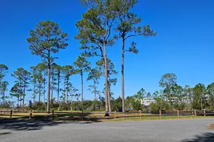 43 Hog Town Bayou Ln, Santa Rosa Beach, FL 32459 - Photo 19