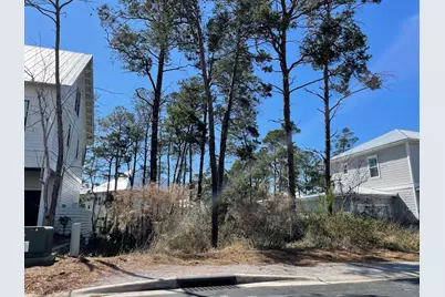 51 Ibis Drive, Santa Rosa Beach, FL 32459 - Photo 3