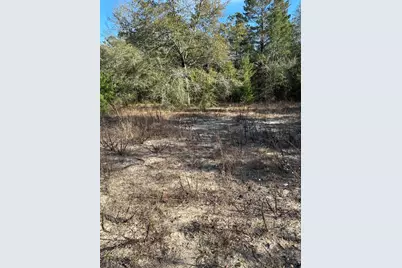 5225 Kimp Road, Crestview, FL 32539 - Photo 7