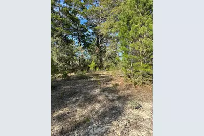 5225 Kimp Road, Crestview, FL 32539 - Photo 5