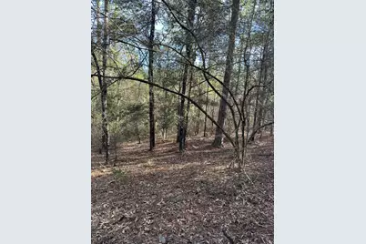 5225 Kimp Road, Crestview, FL 32539 - Photo 9