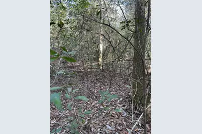 5225 Kimp Road, Crestview, FL 32539 - Photo 11