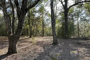 5895 Pineforest Dr, Crestview, FL 32539 - Photo 9