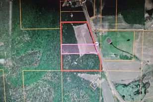 S-8 Acres S St Hwy 87 S, See Remarks, AL N/A - Photo 1