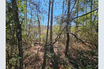 Xx W St Highway 20 Highway, Freeport, FL 32439 - Photo 5