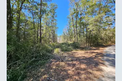 Xx W St Highway 20 Highway, Freeport, FL 32439 - Photo 5