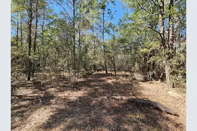 Xx W St Highway 20 Highway, Freeport, FL 32439 - Photo 7